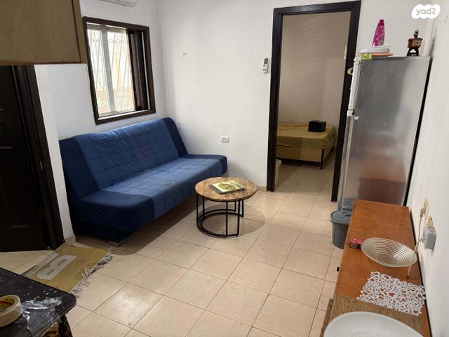 דוד וולפסון 11