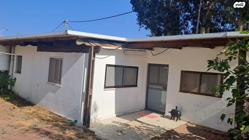 יגאל אלון 15