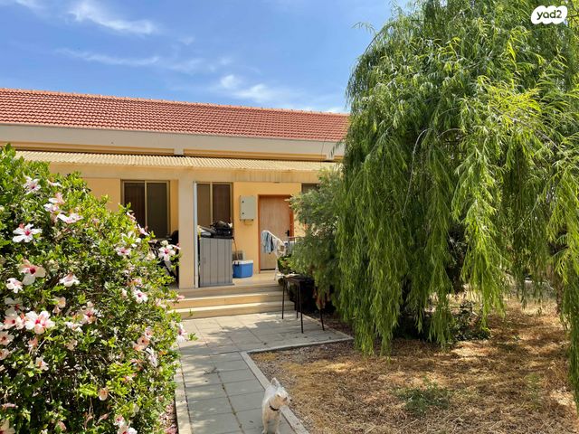 דרך הרימון 30