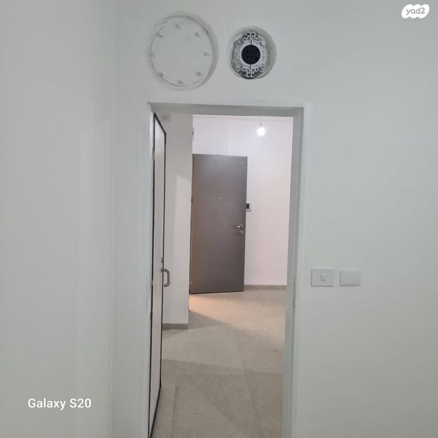 ארבעת המינים 14