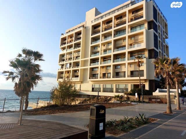 אלי לנדאו 12