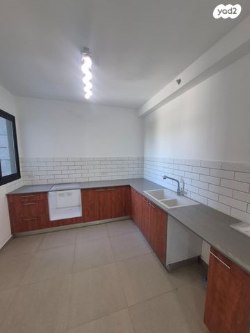 רועי קליין 7