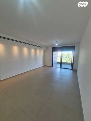 רועי קליין 7