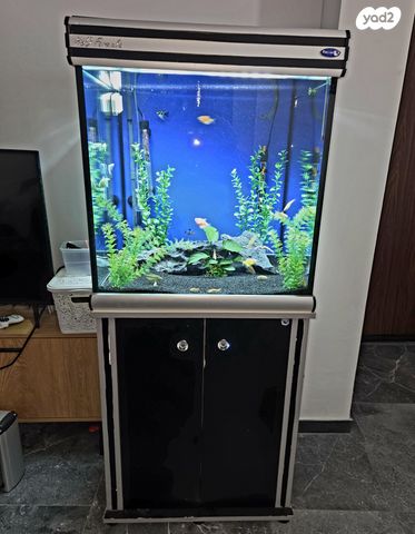 תמונת מודעה - חיות מחמד