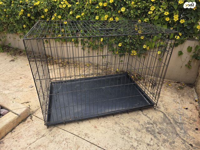 תמונת מודעה - חיות מחמד