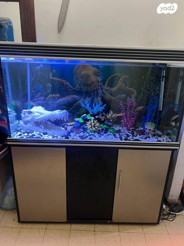 תמונת מודעה - חיות מחמד