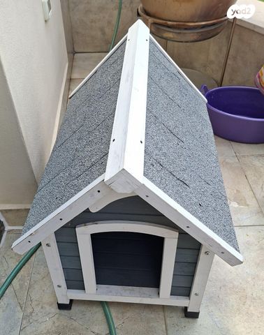 תמונת מודעה - חיות מחמד