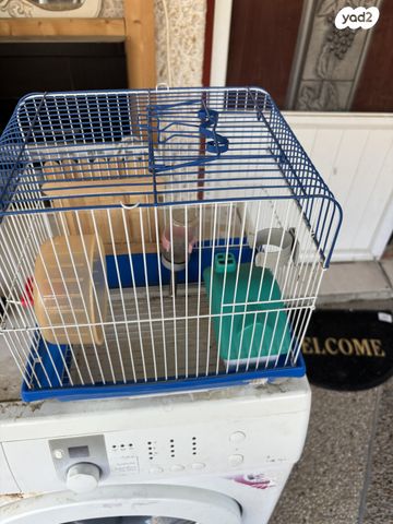 תמונת מודעה - חיות מחמד