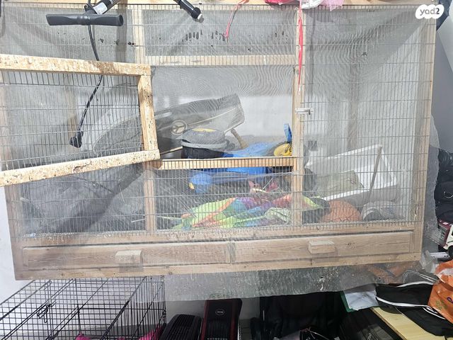 תמונת מודעה - חיות מחמד