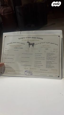 תמונת מודעה - חיות מחמד