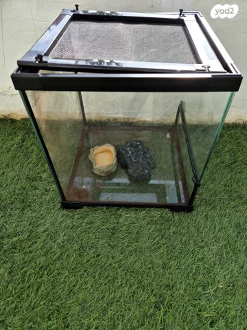 תמונת מודעה - חיות מחמד