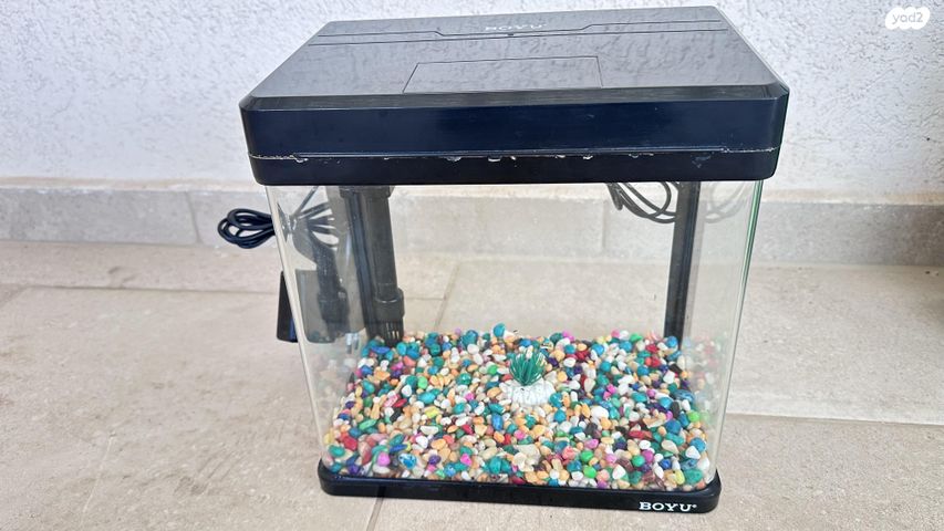 תמונת מודעה - חיות מחמד