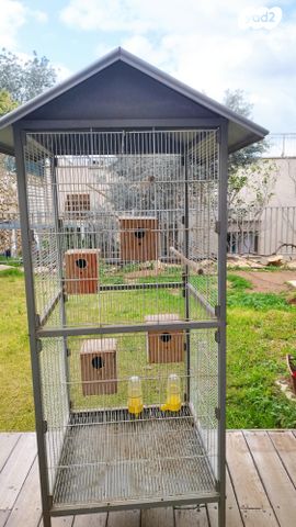 תמונת מודעה - חיות מחמד