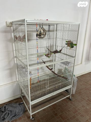 תמונת מודעה - חיות מחמד