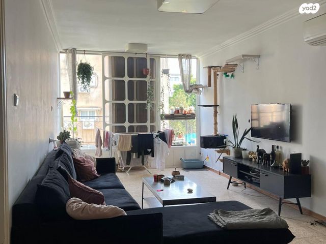 הרב קטרוני 15