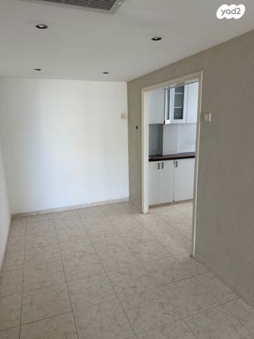 אריה בן אליעזר 37