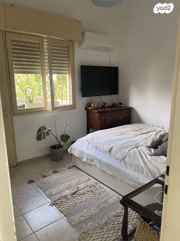 שלמה המלך 14