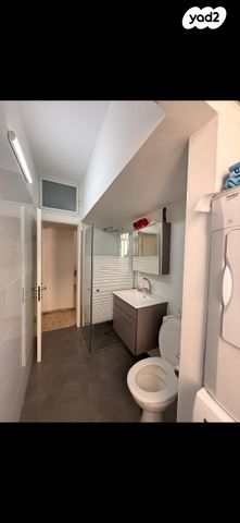 דוד אלעזר 39