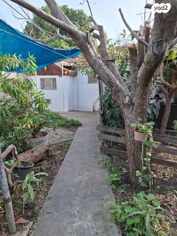 חכמי אתונה 22