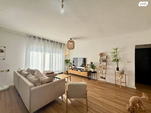 הרב הרצוג 17