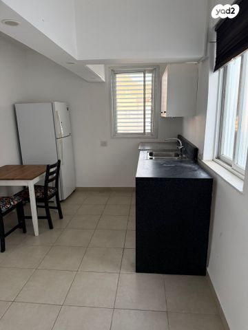 אירוס הארגמן 81