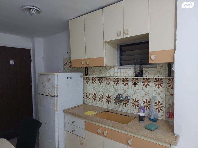 שלומציון המלכה 5