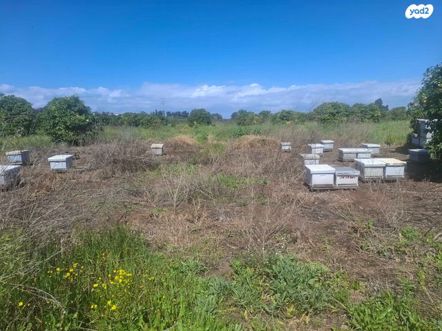 משק חקלאי/ נחלה