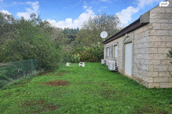 עד כי יבוא שילה 