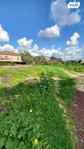 מגרשים, גני בנימינה, בנימינה גבעת עדה