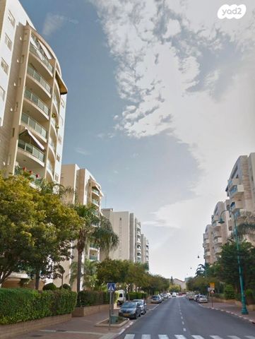 תנועות הנוער 