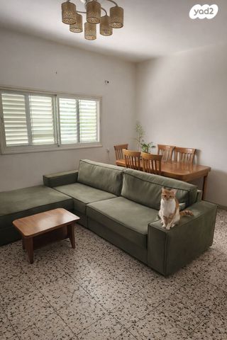 אברהם לייסין 11