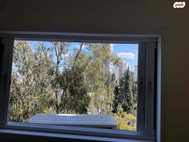 אלעזר ויינשל 2