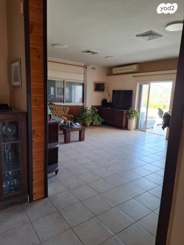 דרך הברושים 1