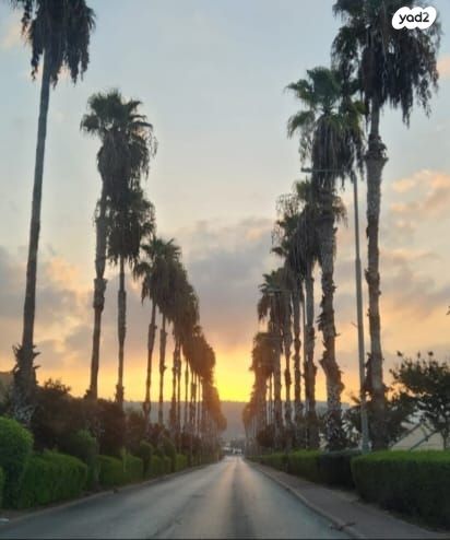 מחסנים, צרופה