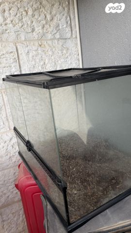 תמונת מודעה - חיות מחמד