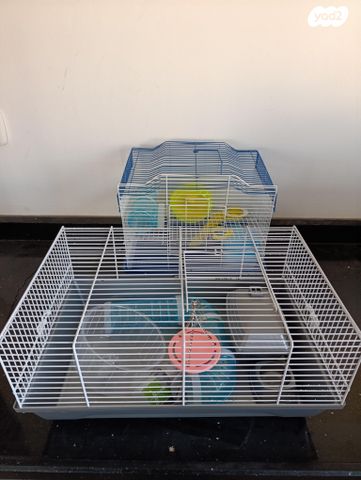 תמונת מודעה - חיות מחמד