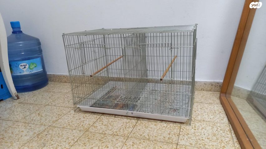 תמונת מודעה - חיות מחמד