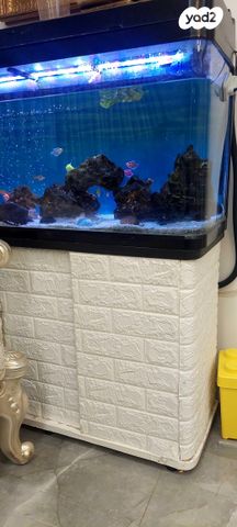 תמונת מודעה - חיות מחמד