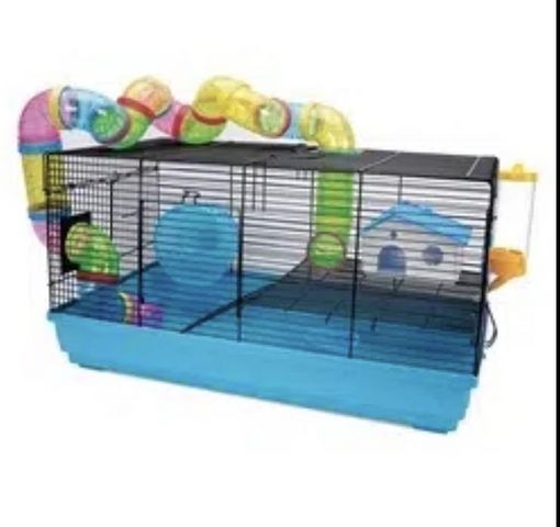 תמונת מודעה - חיות מחמד