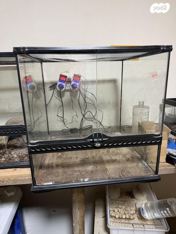 תמונת מודעה - חיות מחמד