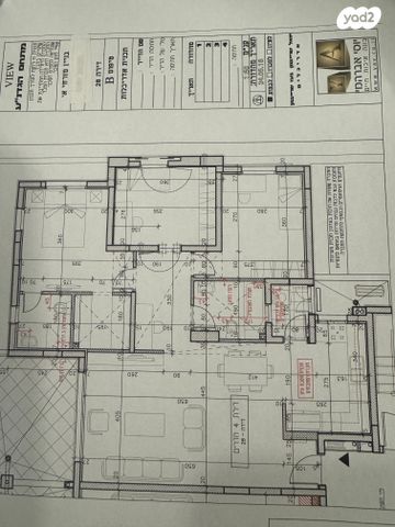 ברתיני גארי 10