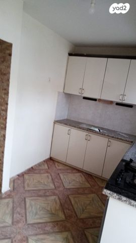 לוי אשכול 10