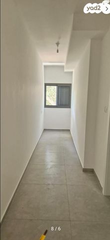 יגאל אלון 18