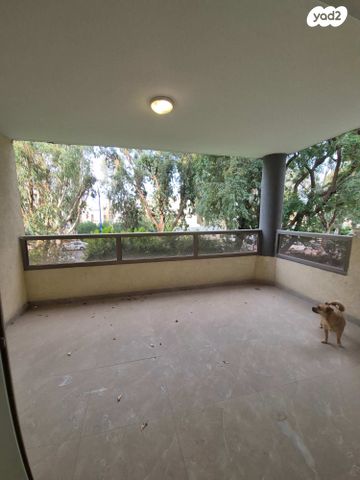 אריה בן אליעזר 5