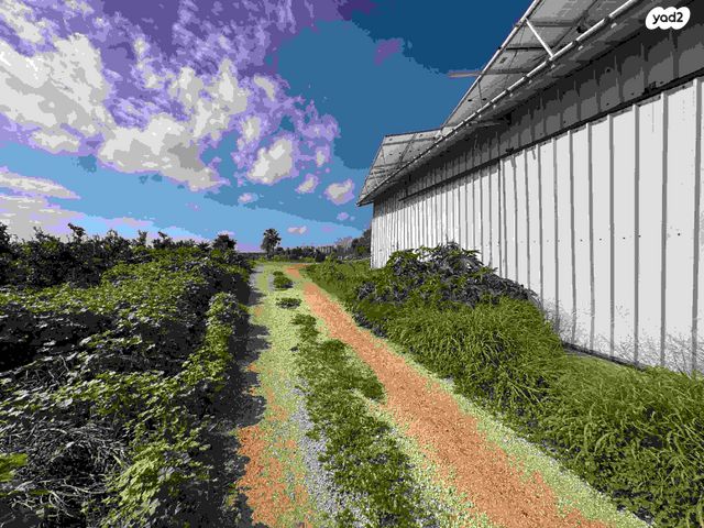 משק חקלאי/ נחלה