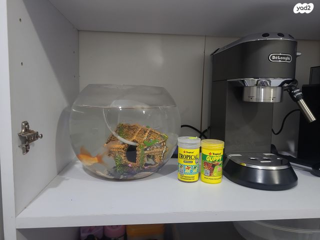 תמונת מודעה - חיות מחמד