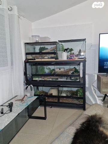 תמונת מודעה - חיות מחמד