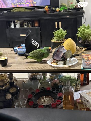 תמונת מודעה - חיות מחמד