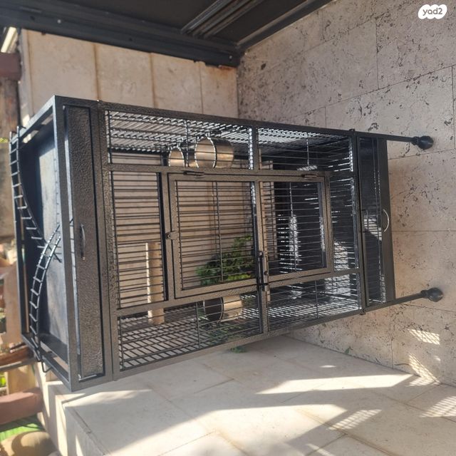 תמונת מודעה - חיות מחמד