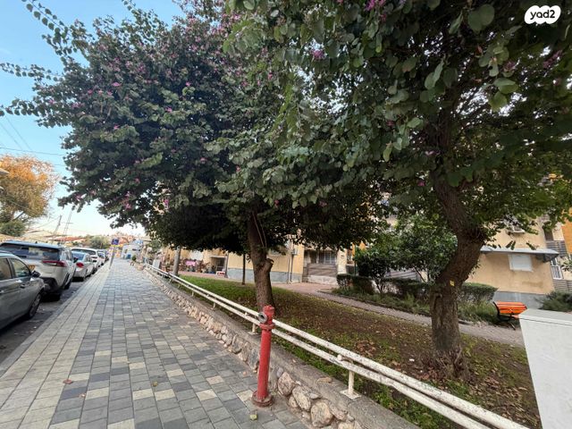 יהודה הלוי 505